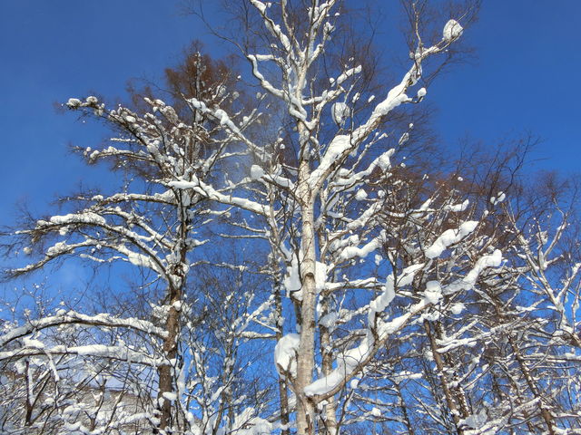 ؂ɕtYɊ܂_jZRrbWXL[][g