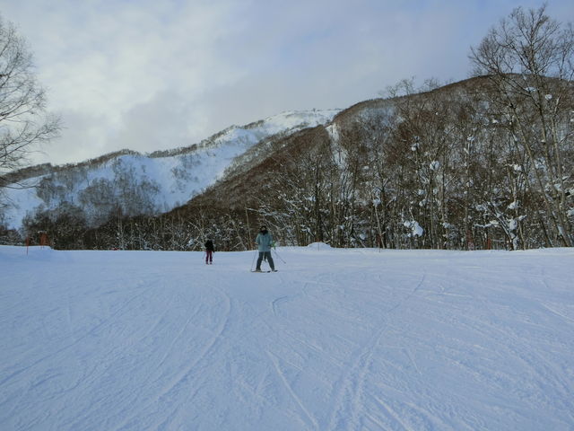 tbgȃR[X_jZRrbWXL[][g