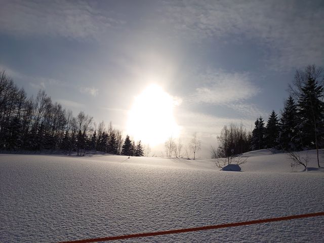 ႪƂĂꂢɊ܂_jZRrbWXL[][g