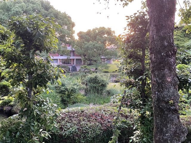 �艉_���Y�_�Ђ̔�O����