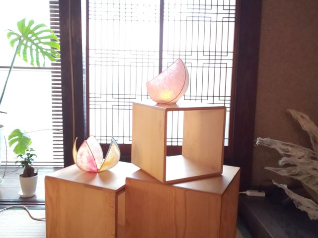 [!!!!Ă܂܂B
nfGȃv[głB_KH[