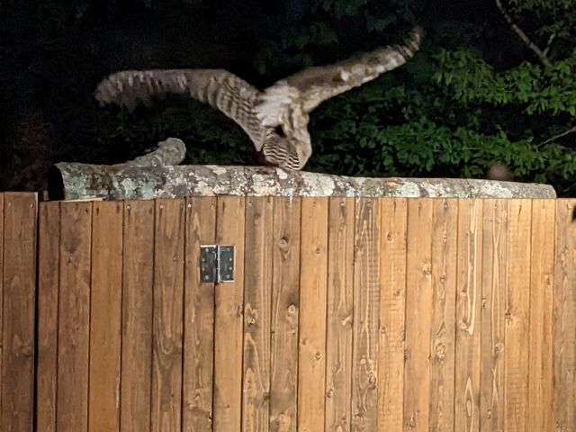 �^�C�~���O�ǂ�_�{�V������