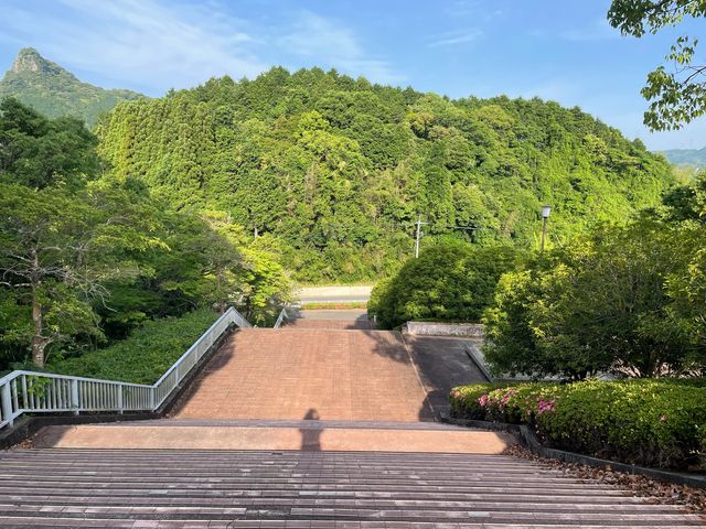 �i�F_����^������