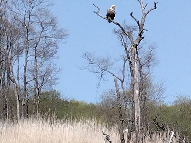 �V�R�L�O���I�W�����V�B�K�C�h����H�����A�L�������I_������ЃJ�k�[�v��