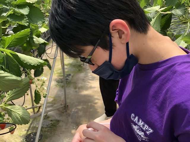 �p�b�N���ɂイ���q���I�ŗǂ������ł�_�K�C���t�@�[��(���c�t�@�[���j