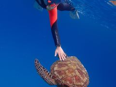 ݂Ȃ݂̃RY~bNA[Xւ̓eʐ^3