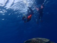 ݂Ȃ݂̃RY~bNA[Xւ̓eʐ^4