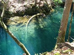 񂳂̃BgJ̓]ւ̓eʐ^1