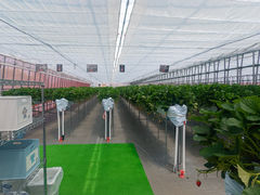 LL̃iJW}t@[ ▼̗ւ̓eʐ^1