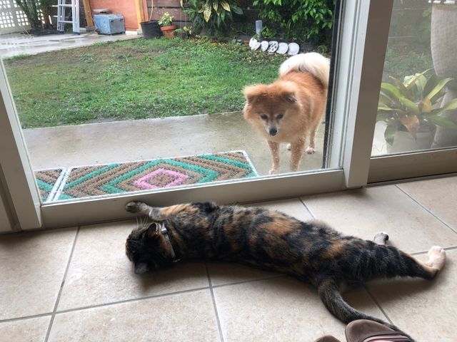 �l�����������������l�R�����B_�H�[TAMA