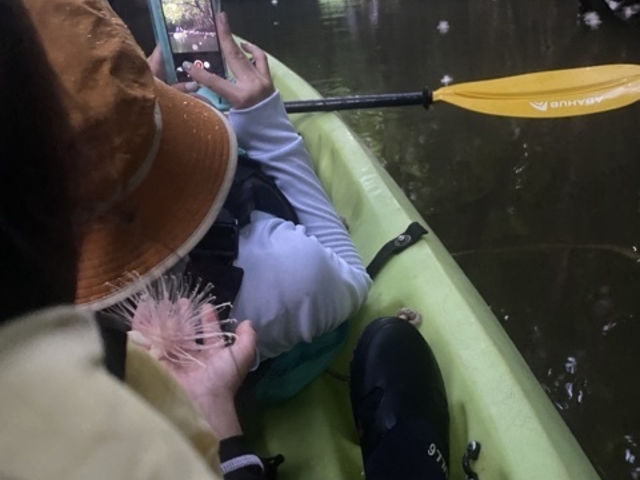 �T�K���o�i�c�A�[_summer����܁[