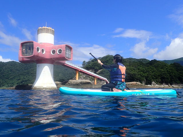 �K�C�h����ɎB���Ă������������C�ɓ���̈ꖇ��_�����ό��U����@�}�����N���u�W���C