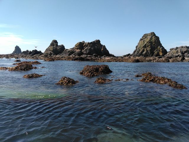 �C�̓����x���o�c�O���ł���_�R���u�{�[�g�N���[�Y