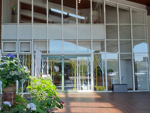 ���z�ԍՂ肵�Ă��܂����B_The Day Osaka