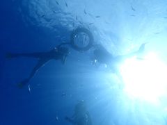 LE^̃}Nu Gigiւ̓eʐ^1