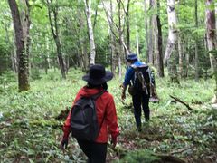 R̂Ƃ񂳂̊Вmc[Xgւ̓eʐ^4