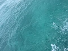 肫̃}Nu Gigiւ̓eʐ^1