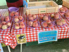 ͂邽̌_O[vnEXւ̓eʐ^1