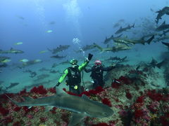 nanã_CrOVbvKIAORAւ̓eʐ^1