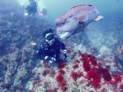 nanã_CrOVbvKIAORAւ̓eʐ^3