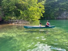 UbL̃BgJ̓]ւ̓eʐ^1