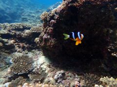 Ƃ̃}Nu Gigiւ̓eʐ^1