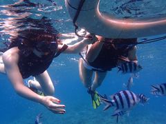 Ȃ̃}Nu Gigiւ̓eʐ^1