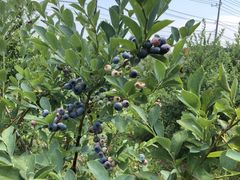 ݂肳̎skg@ւ̓eʐ^1