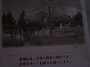 �T���v������̑�v�ۗ��ʂ̕�̓��e�ʐ^5