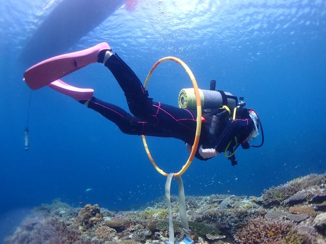 ���C�Z���X�̍u�K��^_^_DIVING SHOP RYAAAN