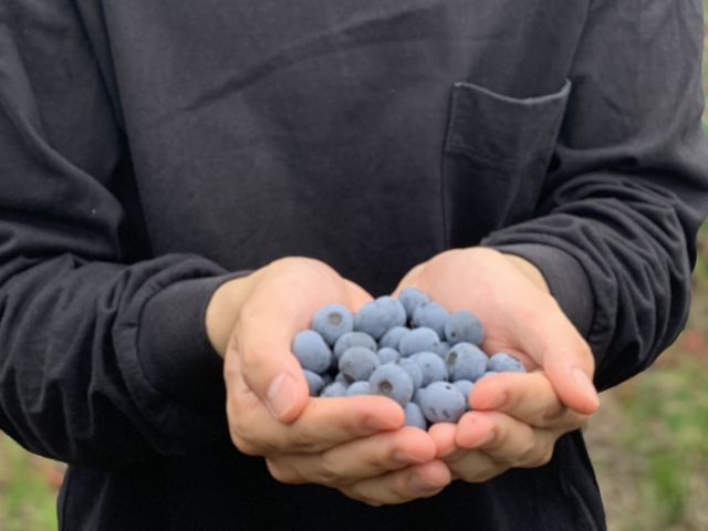 ���������ς����\�ł��܂���^ ^_�����ǃu���[�x���[��