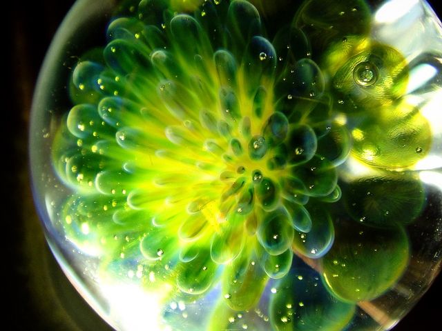 �F��_Fleur�@Mari