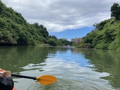 xituozai����̃J���b�N �C�[�Y�ւ̓��e�ʐ^1