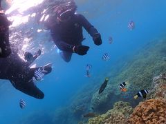 Kofa@and PuPuւ̓eʐ^1