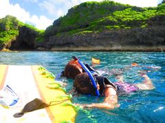 ` ꑍAEghAcA[X̎ʐ^2