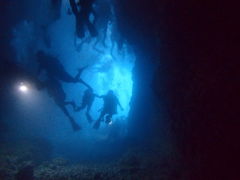 ς̐̓A@Dive@ւ̓eʐ^1