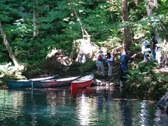 ܂񂳂̃BgJ̓]ւ̓eʐ^1