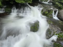 񂳂̉vKChNuւ̓eʐ^1