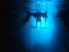 satoshi-hello̐̓A@Dive@ւ̓eʐ^1