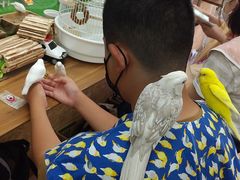 カコ̐Xm{ Ђ΂ւ̓eʐ^1