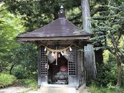 񂳂̈h@(ꃖsm)̓eʐ^5