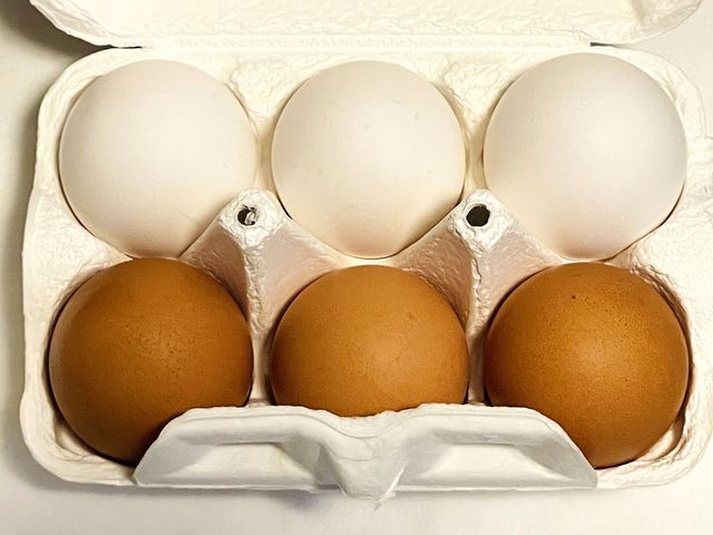 ̋ʂUiVNŖZ߁j_܂̋