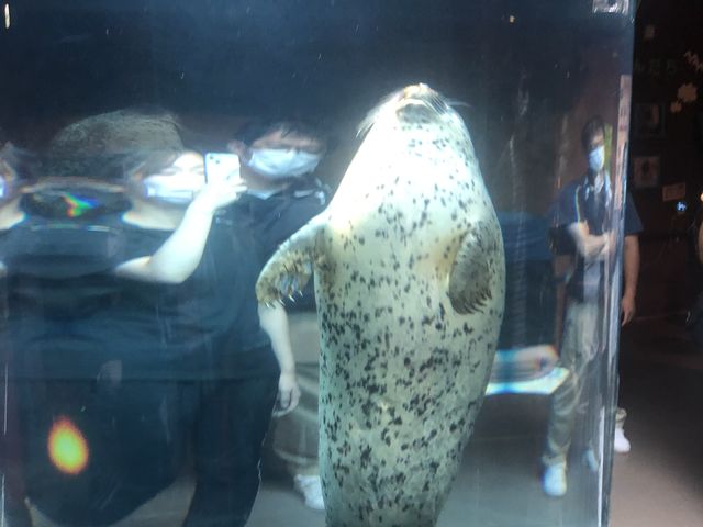 �X�^���f�B���O�A�A�U���V�I_���R������