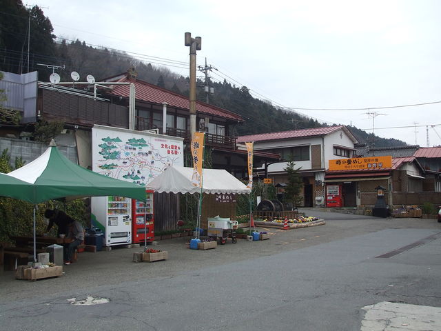 iqw\
w쉮x֌W̌܂B_JRw