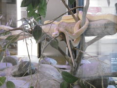 񂳂̍ÁiV_j֎قւ̓eʐ^1