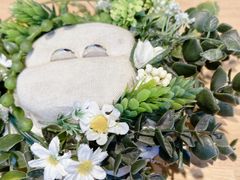 qXʂAIGISE\QXւ̓eʐ^1