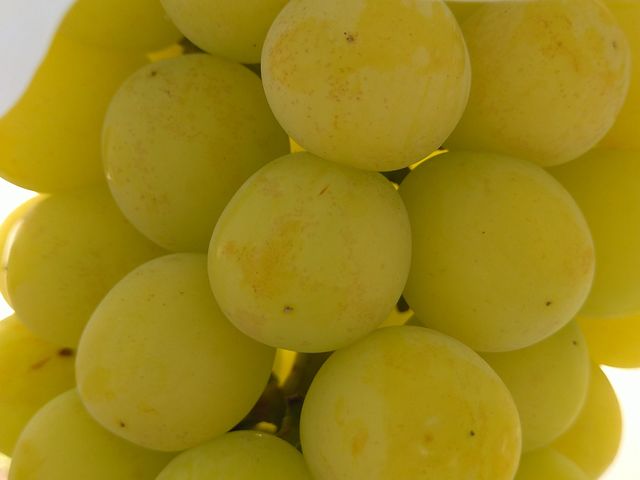 m荇Ɏʃ̂ɃAbvŎB܂_ԂǂE@gʉ