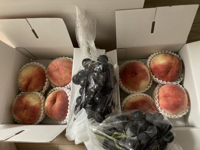 �傫�߂̓��ł����B_�������̉���