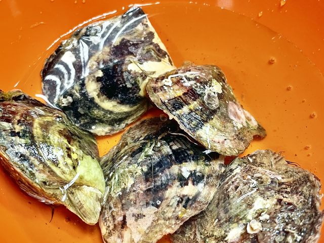 �����ŊL��I�т܂��B_PICOLABO