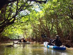 AbROHCUSΊ_ւ̓eʐ^1